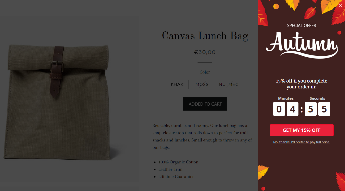 A timed discount coupon popup to recover abandoned cart.